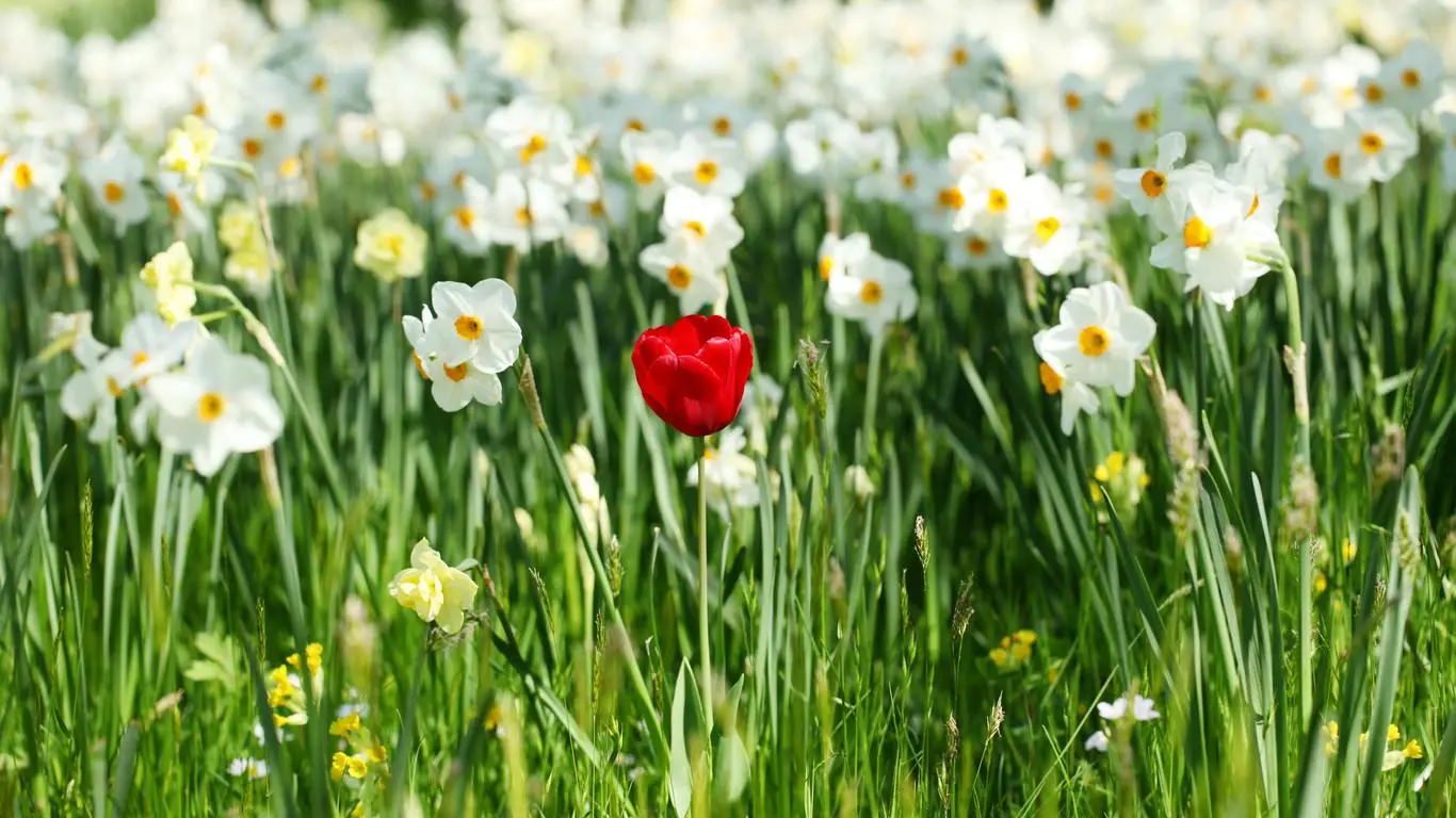 kafka选主算法 kafka选举原理